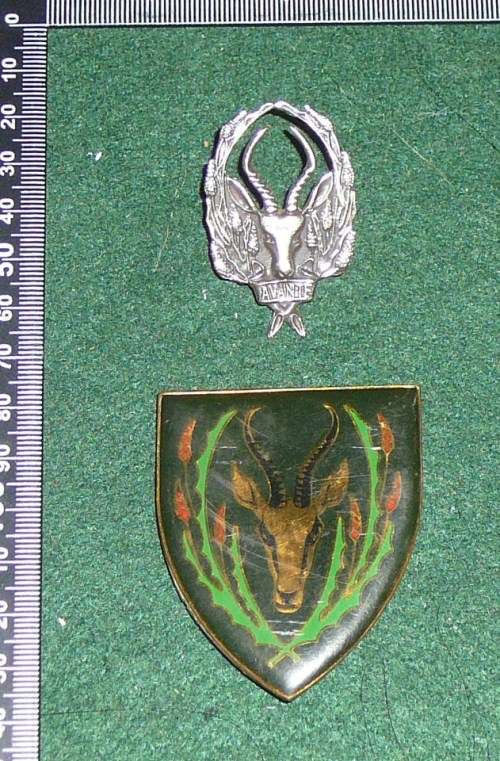 SADF 5 SAI BERET BADGE & FLASH