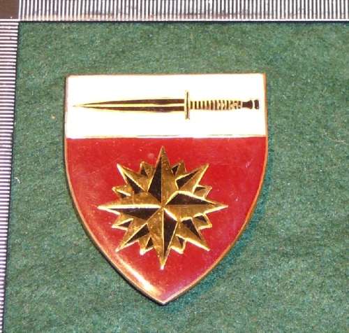 SPECIAL FORCES SCHOOL (NEVER ADOPTED) FLASH