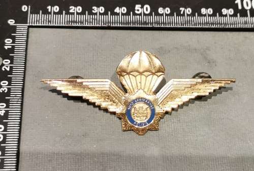SAP VETERANS TASK FORCE JUMP WING