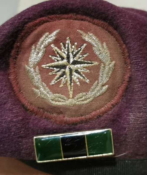 SPECIAL FORCES BRIGADE BERET