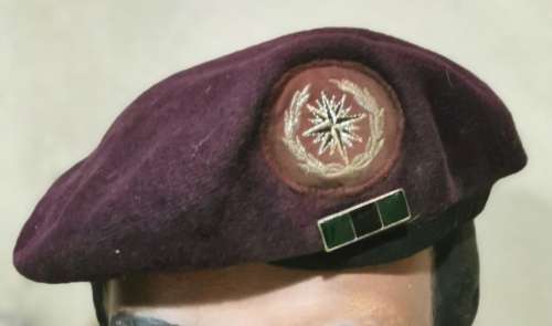 SPECIAL FORCES BRIGADE BERET