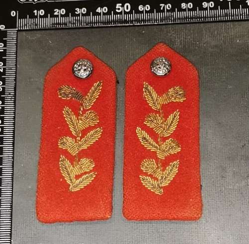 SADF GENERALS GORGET SET