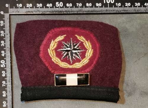 RECCONNAISANCE REGT BERET BADGE and BALKIE