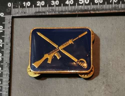 SA POLICE DRILL INSTRUCTOR QUALIFICATION BADGE