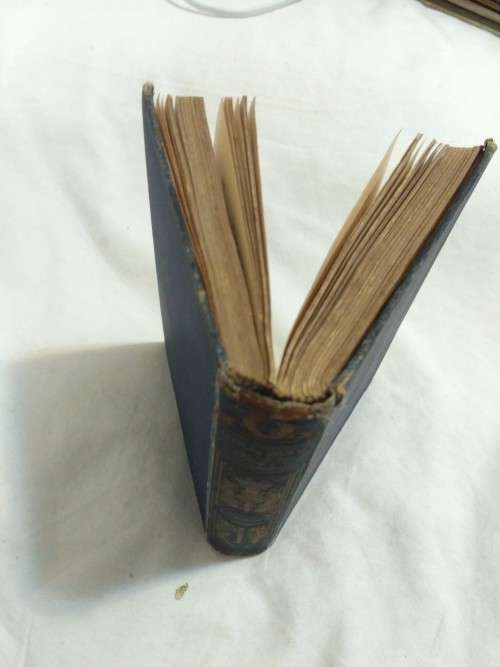 Tanglewood Tales - Nathaniel Hawthorne