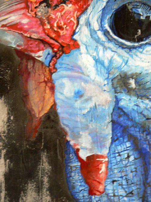 Guinea fowl, straathoender, South African artist, oil painting, painting of guinea fowl, natali downing