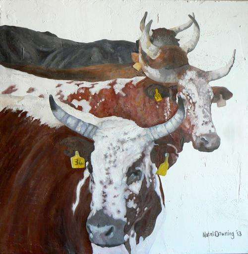 20% Festive Season Discount!!!SA Artist-N Downing-Original Oil On Multimedia on Board-Nguni Cattle