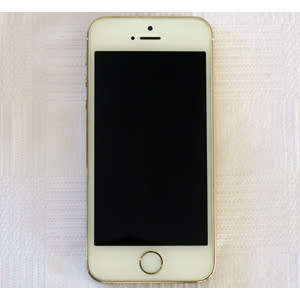 Gold Apple iPhone 5S (16GB) + Earpods with Remote & Mic + USB Power Adaptor + Cover