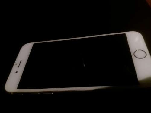 *1st bid takes* iPhone 6 Gold
