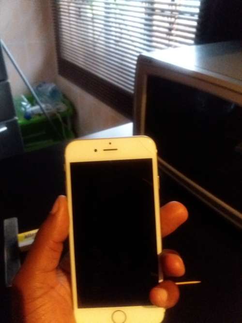 *1st bid takes* iPhone 6 Gold