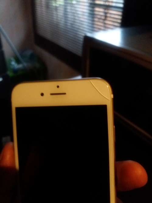 *1st bid takes* iPhone 6 Gold