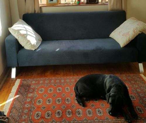 sleeper couch( 6 months old)