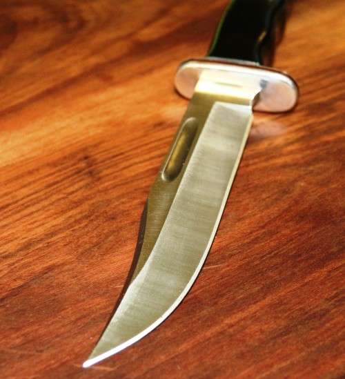 Buck 119 "Special" Knife