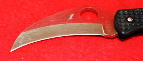 Spyderco Tasman Salt H1 black, plain edge