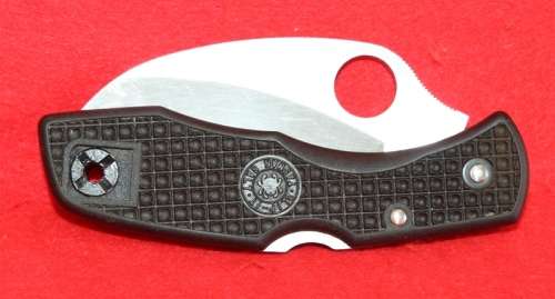Spyderco Tasman Salt H1 black, plain edge