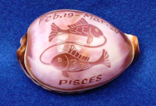 Pisces Shell