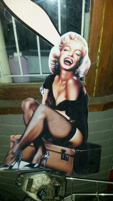 marilyn monroe plastic pinup