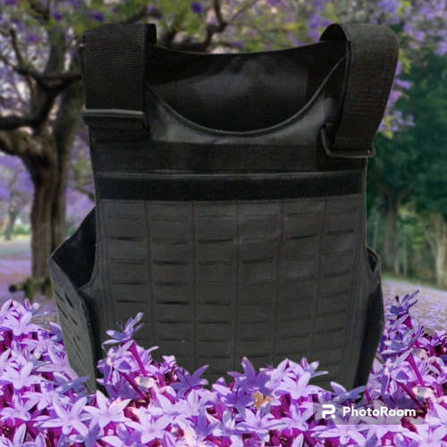 Laser cut molle plate carrier.