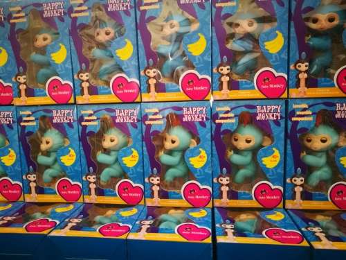 FINGERLING HAPPY MONKEY - LOCAL STOCK