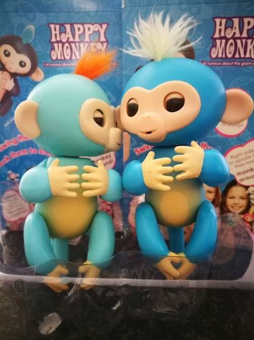 FINGERLING HAPPY MONKEY - LOCAL STOCK