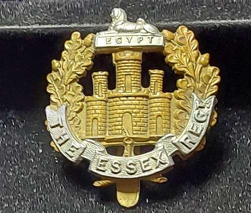 THE ESSEX REGIMENT NATIONAL ARMY BADGE