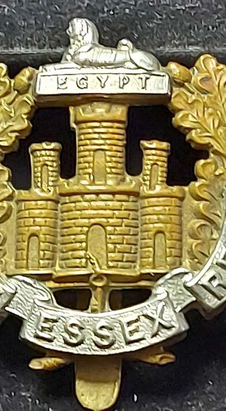 THE ESSEX REGIMENT NATIONAL ARMY BADGE