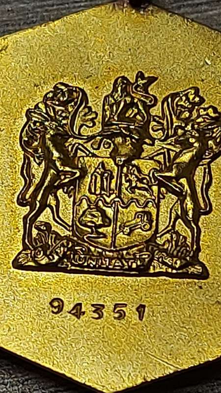 1  X PRO PATRIA MEDAL WITH NUMBER 94351