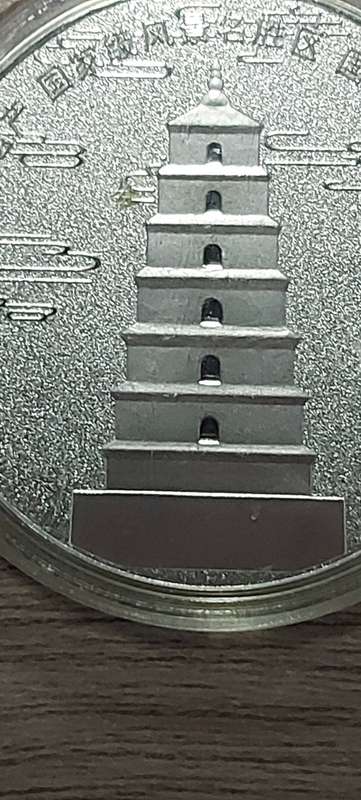 XI-ANG BIG WILD GOOSE PAGODA COIN