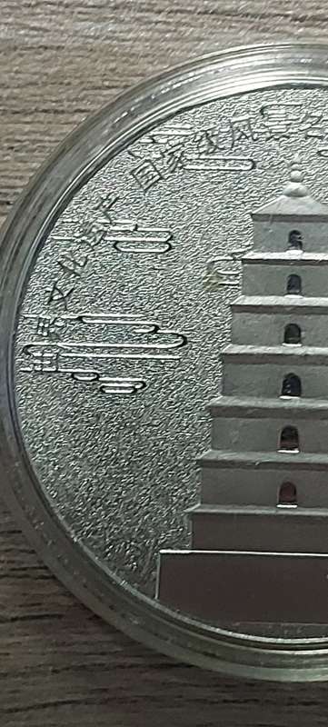 XI-ANG BIG WILD GOOSE PAGODA COIN