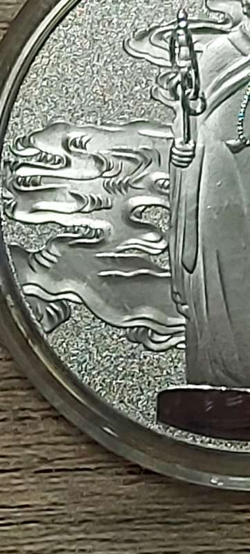 XI-ANG BIG WILD GOOSE PAGODA COIN
