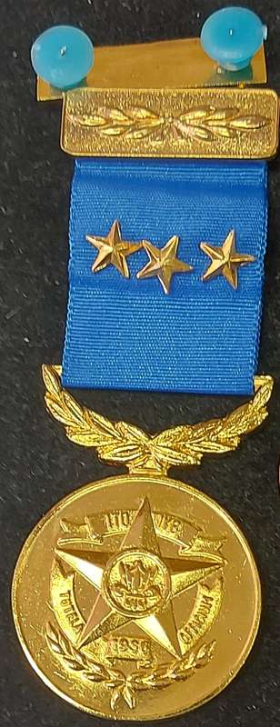 VARIOUS SANDF and METRO POLICE INSIGNIA