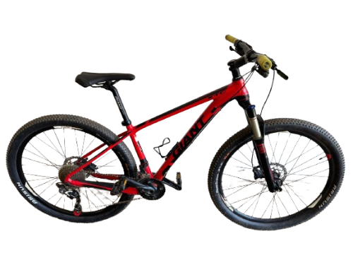 Giant XTR SL Aluxx SL Fluidform mountain bike