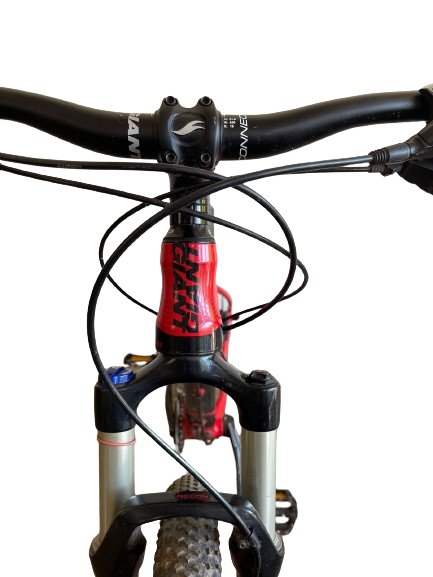 Giant XTR SL Aluxx SL Fluidform mountain bike