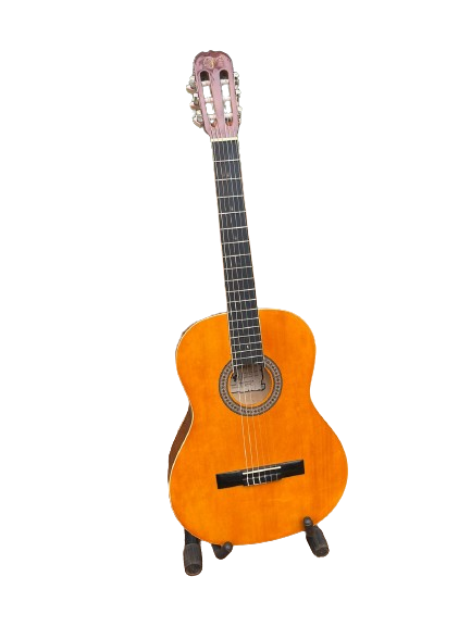 Vizcaya 30` 1\4 Classical Guitar - Light Brown with Stand