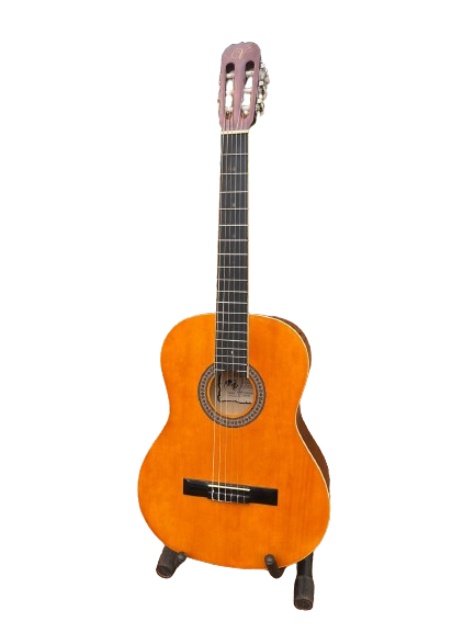 Vizcaya 30` 1\4 Classical Guitar - Light Brown with Stand