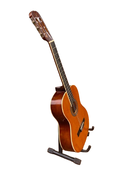 Vizcaya 30` 1\4 Classical Guitar - Light Brown with Stand