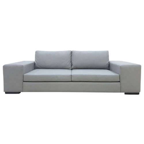 Couch The Nixon