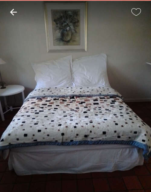 Mink Blanket