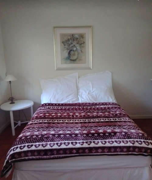 Mink Blanket