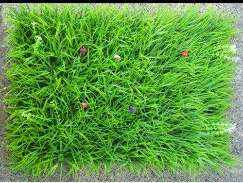 Artificial Ivy Hedge Floor Or Wall Segments - 60x40cm