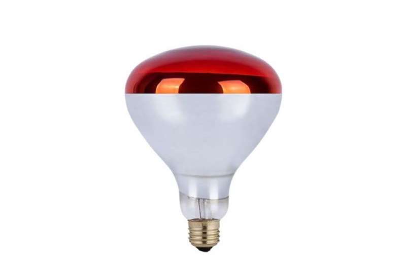Animal Infrared Heat Lamp