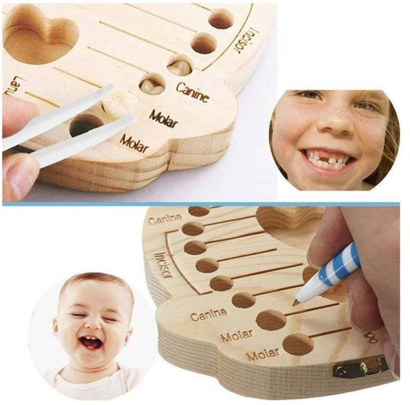 Teeth Storage Box for Children MY-715