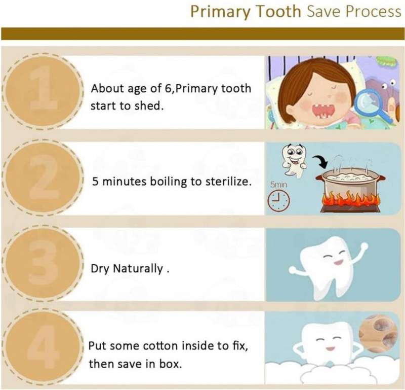 Teeth Storage Box for Children MY-715