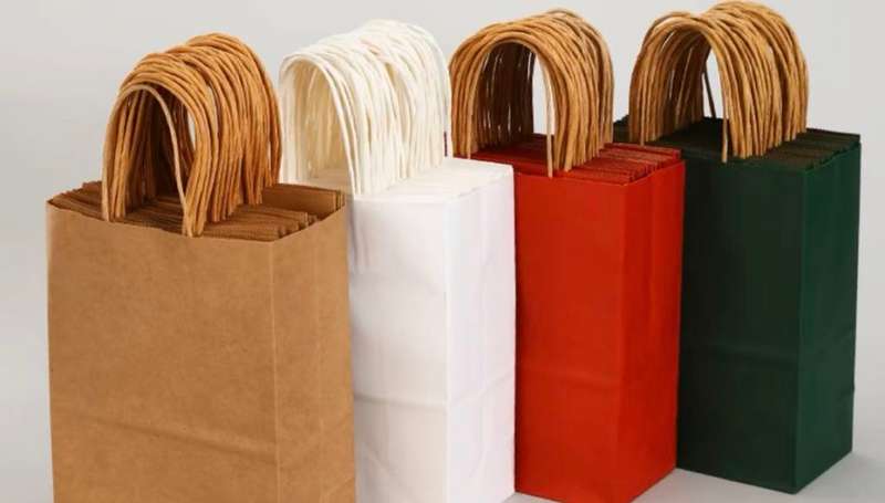 Party Gift Bag Pack of 12 Pieces 13x8x17cm