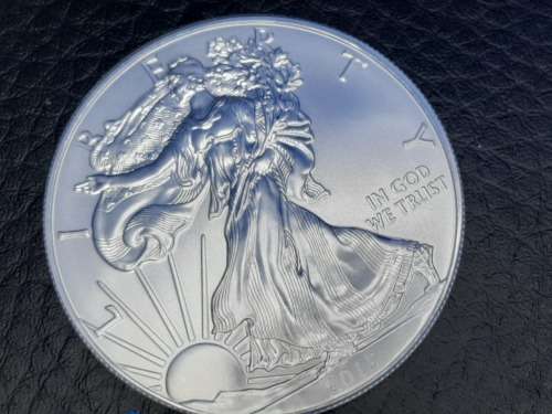 2013 Silver Liberty 1 Dollar (1 Ounce)