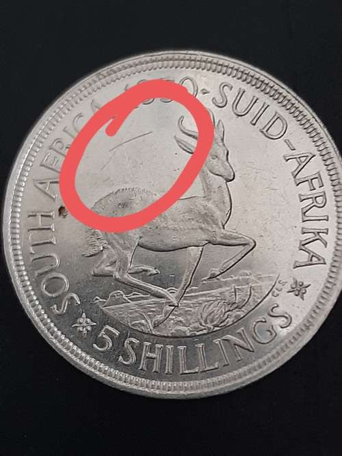 1950 Silver Kroon (Some scratches)