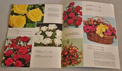 BUSS Nurseries/Kwekerye 1969 Catalogue by Peter Frankenfeld