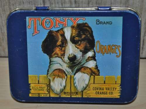Small Collectible Vintage Tin with Tony Brand Oranges - Asusa California Citrus Crate Label Artwork