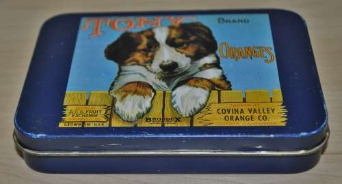 Small Collectible Vintage Tin with Tony Brand Oranges - Asusa California Citrus Crate Label Artwork