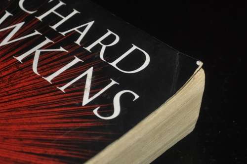 The God Delustion by Richard Dawkins ISBN 9780593058251